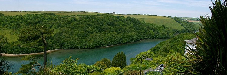 View of the East Looe river below Barclay House