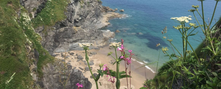 The Lizard coastline