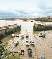 Newquay's Harbour